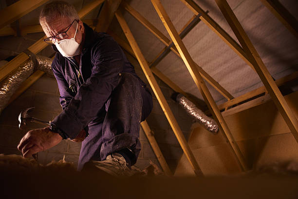 Best DIY Insulation Kits and Guidance in , AL